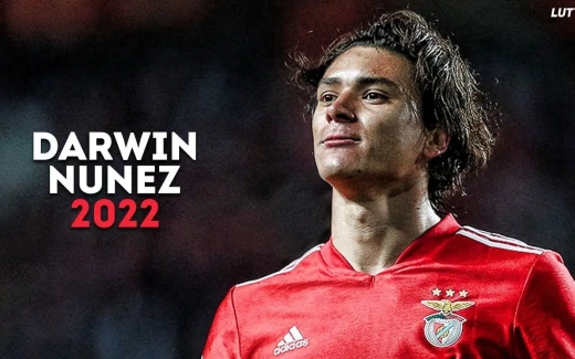 达尔温-努涅斯球衣号码介绍