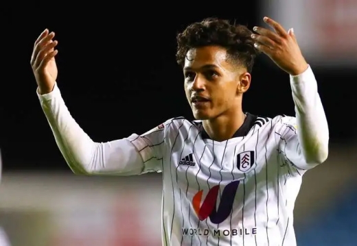 法比奥卡瓦略场上位置介绍