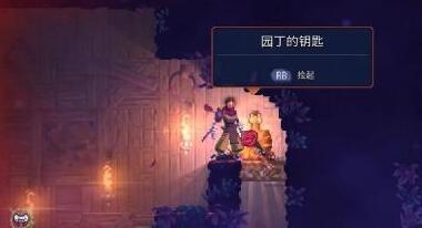 重生细胞园丁的三把钥匙有什么用