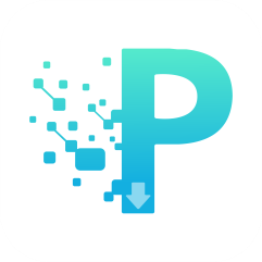 P2P下载器app手机版