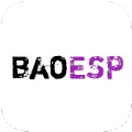 baoESP2.0.8卡密
