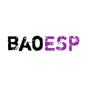 baoESP永久卡密版