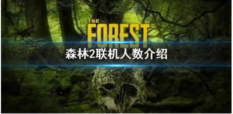 森林之子联机人数介绍