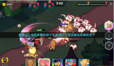姜饼人王国培养饼干推荐