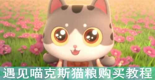 遇见喵克斯猫粮购买教程