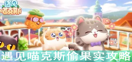 遇见喵克斯偷果实攻略