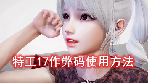 特工17作弊码使用方法