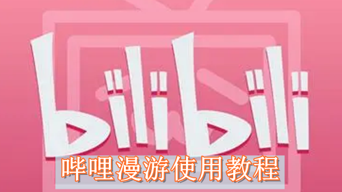 哔哩漫游使用教程