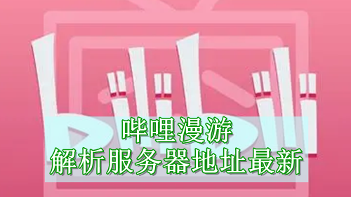 哔哩漫游解析服务器地址最新