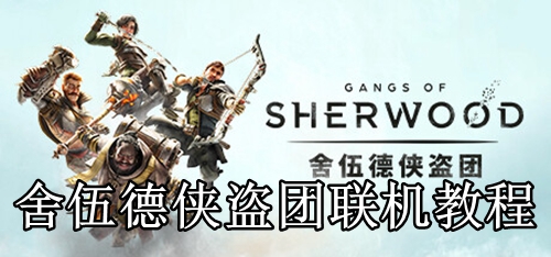 舍伍德侠盗团联机教程