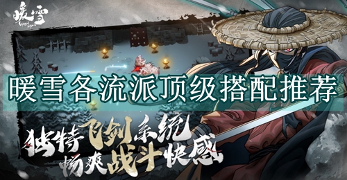 暖雪各流派顶级搭配推荐