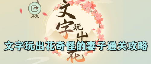 文字玩出花奇怪的妻子通关攻略