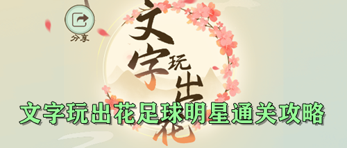 文字玩出花足球明星通关攻略
