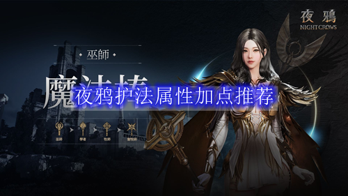 夜鸦护法属性加点推荐