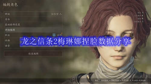 龙之信条2梅琳娜捏脸数据分享