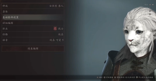 龙之信条2猫女捏脸数据分享