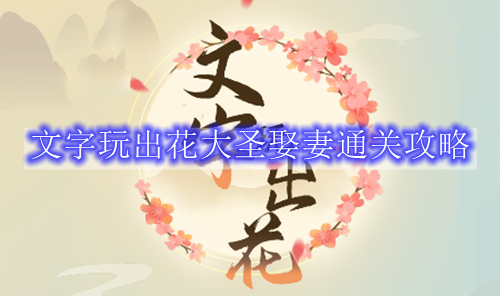 文字玩出花大圣娶妻通关攻略