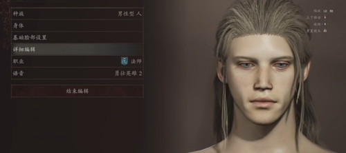 龙之信条2精灵王子捏脸数据分享