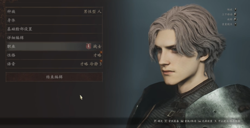 龙之信条2男性帅气捏脸数据分享