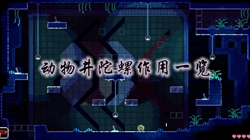 动物井陀螺作用一览