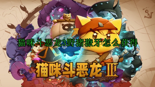 猫咪斗恶龙3野猪獠牙获取方法