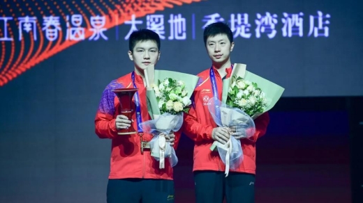 樊振东全运会冠军-樊振东夺全运会乒乓球男单冠军