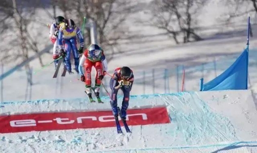北京冬奥会自由式滑雪分几个小项-2022冬奥会自由式滑雪项目包括小项