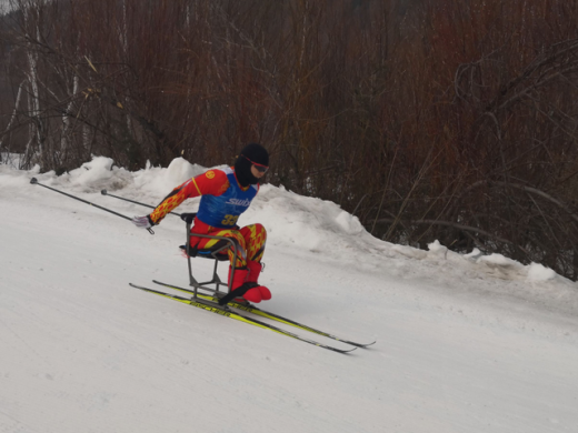 冬残奥会越野滑雪姿势有什么-北京冬残奥会越野滑雪姿势介绍