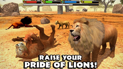 狮子模拟器游戏下载安装_狮子模拟器安卓版手机下载