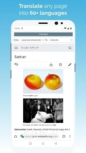 kiwi浏览器中文精简版
